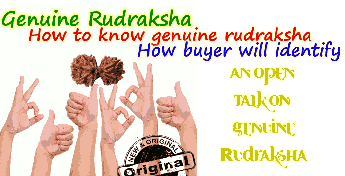 genuine rudraksha how to know